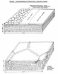 Depositional setting of tepees compiled by C. Robertson Handford